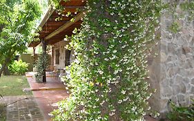 Rumi Huasi Cabañas